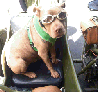 sidecar dogs cj750 parts