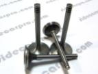 CJ750 CJ 750 Chang Jiang intake and exhaust valve