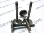 CJ750 CJ 750 Chang Jiang intake and exhaust valve